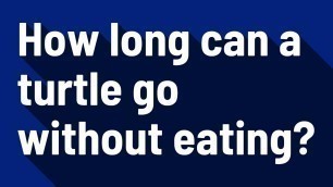 'How long can a turtle go without eating?'