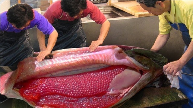 'Awesome Worker Skills Harvest Salmon Eggs and Meat - Salmon Cutting & Processing Machine in Factory'