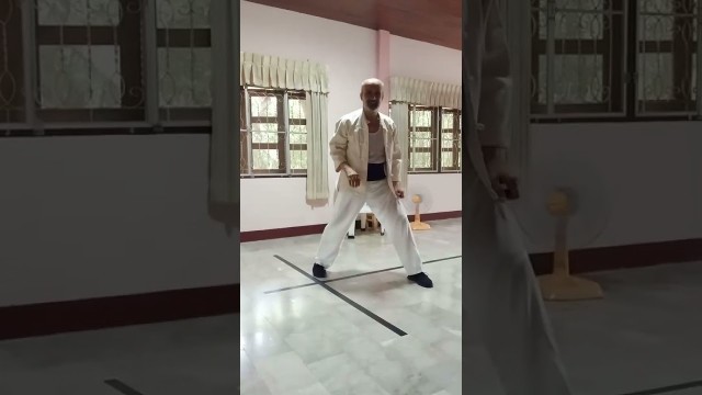 'Kung Fu Toa Mirzaii Style - Lesson #22'