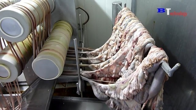 'How Are Sausages Produced in Factories, Excellent Food Production and Processing Process'