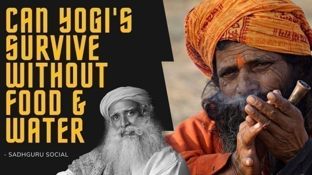 'How Yogis Live Without Food and Water – Sadhguru [Youth and Truth] Latest Video Sadhguru'