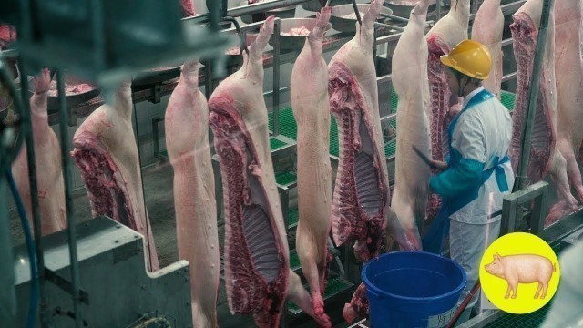 'Inside the world\'s largest meat production plant ★ Awesome Food Processing Machines 2019'