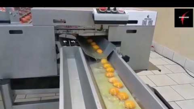 'Modern Food Processing Technology part 9 - Serbinoo Automatic Machines'