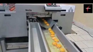 'Modern Food Processing Technology part 9 - Serbinoo Automatic Machines'