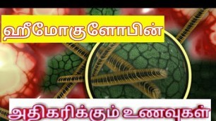 'Haemoglobin - How to increase in tamil'