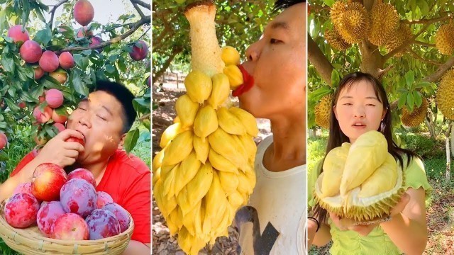 'Super Fruit Cutting Skills | Awesome Food Processing'