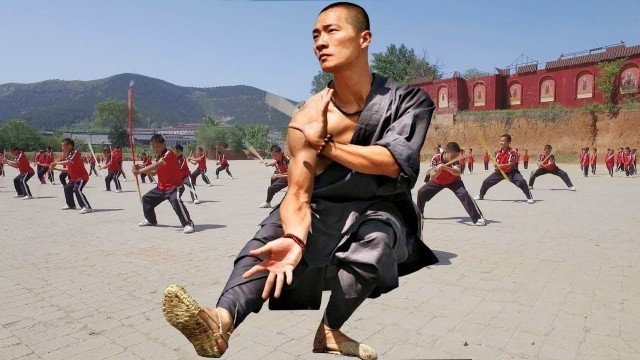 'Snake In the Monkey Shadow || Best Kung fu Hindi Movies'