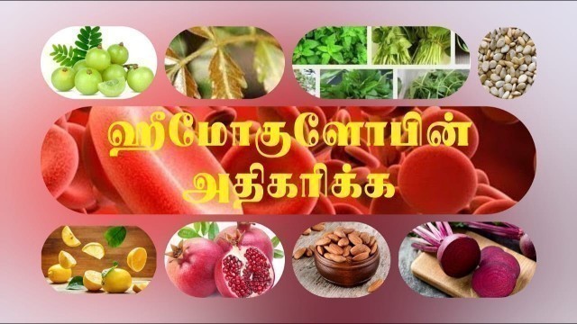 'How to Improve Hemoglobin Level in Body || Iron Foods || Tamil Video'