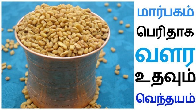 'வெந்தயத்தை கொண்டு மார்பகங்களை பெரிதாக்க | Marbagam Perithaga Valara Tamil Tips'