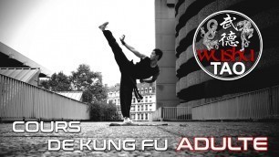 'COURS DE KUNG FU | ADULTES | Tous niveaux | Zoom Cam & go pro | Wushu Tao'