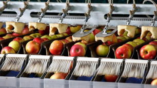 'Crazy Food Processing Machines | Apples processing machine'