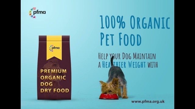 'Dog Product Banner Food Banner Sample 4'