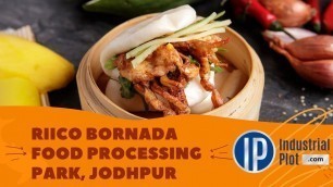 'RIICO Bornada Industrial Area, Jodhpur | Food Processing Park in Rajasthan -IndustrialPlot.com'