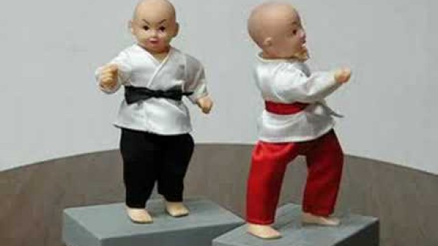 'Kung Fu Electronic Toys'