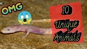 '10 Most Unique Animals That Can Live | Without Food for Months | AbdUllah Tv'