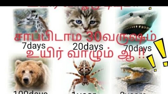 '40 living beings that can live without food for so long. :தமிழ்:சாப்பிடாம இவ்ளோ நாள் உயிர் வாழலாம் ஆ'