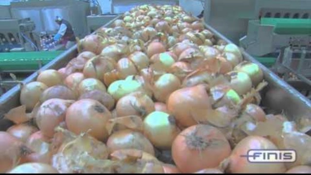 'onion processing machinery | Modern Food Processing  That Are At Another Level | Food factory'