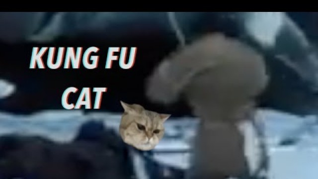 'Kung Fu Cat'