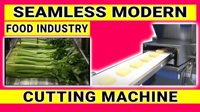 'Seamless Modern Food Industry Cutting Machine'