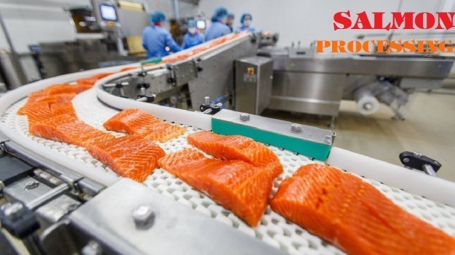 'Amazing Food Processing Machines SALMON Factory ★ Fast Workers Food Cutting Machines NEW Inventions'