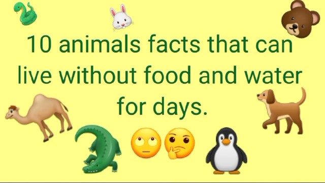 '10 animals facts that can live without food and water for days||7h Pallavi