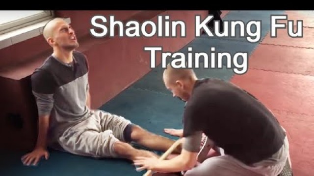 '9 Months of Kung Fu Training in China'