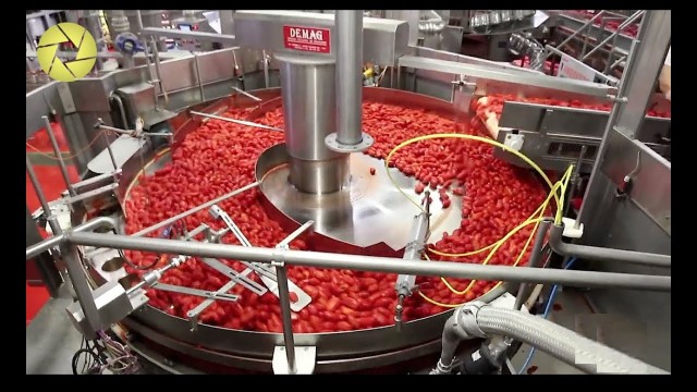 'Incredible Modern Food Industry Automated Machine Worth Watching'