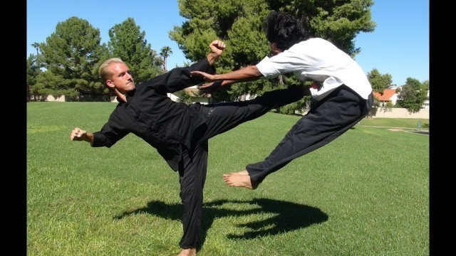 'Real Kung Fu Fighting, part 1'