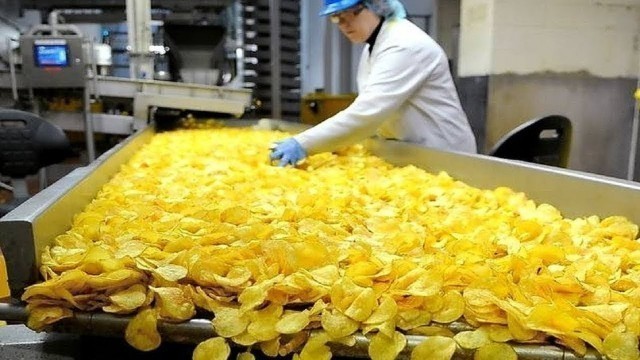 'Amazing Food Automatic Potato Chips Making Machines Factory - Modern Food Processing Technology'