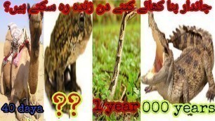 'How long can animals go without food جاندار کھانے کے بغیر کتنے دن زندہ رہ سکتے ہیں؟'