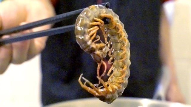 '5 Exotic Insect Dishes in Guangzhou, China | Ultimate Chinese Street Food Tour'