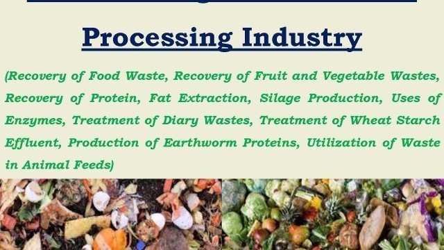 'Waste Management in Food Processing Industry'