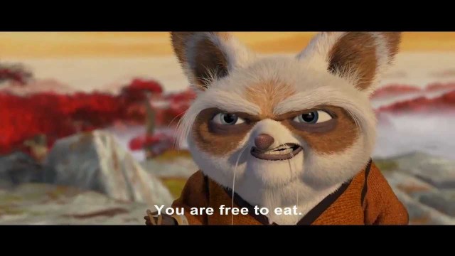 'Kung Fu Panda Training Segment HD'