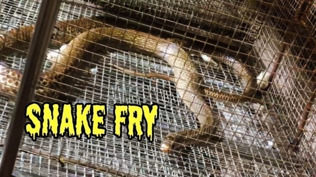 'Eating Snake Fry in China | Chinese street food'