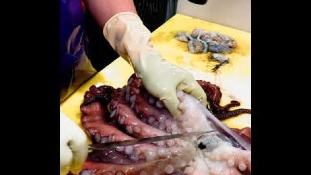 'KOREAN STREET FOOD OCTOPUS SEAFOOD KOREA SEAFOOD MARKET 090721 02 #Shorts'