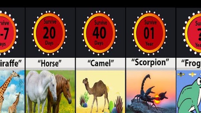 'How Long Animals Can Go Without Food| Animals That Can Survive Without Food the Longest |Comparison'