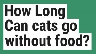 'How Long Can cats go without food?'