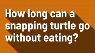 'How long can a snapping turtle go without eating?'