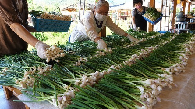 '할머니 해물파전 달인 / welsh onion pancake (pajeon) - korean street food'