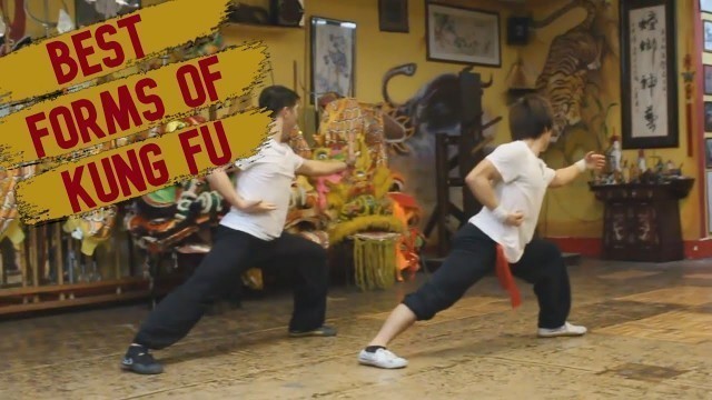 'TOP 5 KUNG FU STYLES & THEIR SIGNATURE FORMS'