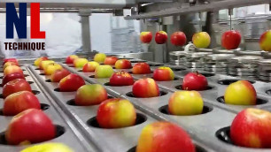 'Modern Food Processing Technology with Cool Automatic Machines That Are At Another Level Part 10'