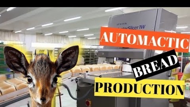 'Modern Food Processing Technology with Cool Automatic Machines｜現代食品自動生產線｜クールな自動機械を備えた現代の食品加工技術'