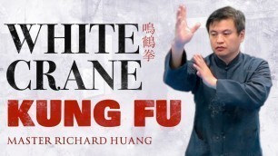 'White Crane Kung Fu | Master Richard Huang 黃正斌 | Season 3 Ep 4'