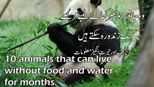 'Animals That Can Live Without Food for Months & Years : وہ جانور جو بغیر کھائے زندہ رہ سکتے ہیں'