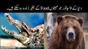 '6 Most Unique Animals That Can Live Without Food For Months | Today News Pk'