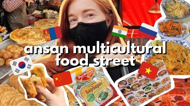 'STREET FOOD Ansan Multicultural Food Street | outside of seoul VLOG'