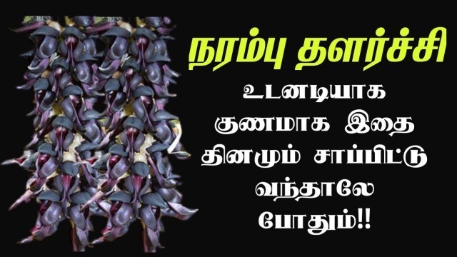 'நரம்பு தளர்ச்சி குணமாக உணவுகள் | Narambu thalarchi treatment in Tamil | Thagaval kothu'