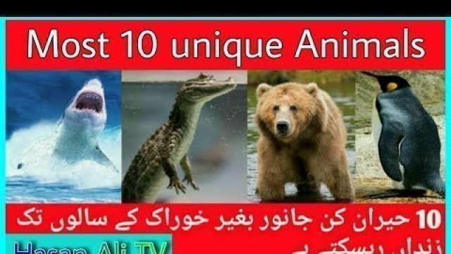 '10 Most Unique Animals That Can Live Without Food for Months/Hasan Ali TV'