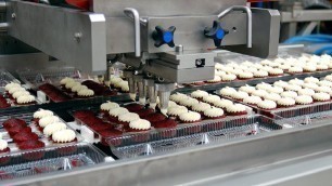 'Modern Food Processing Technology with Amazing Automatic Machines'