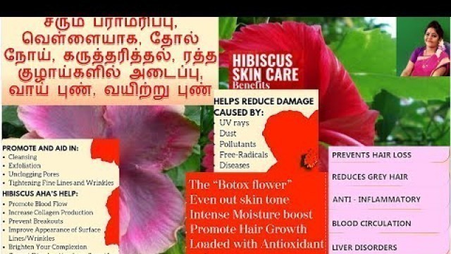 'Hibiscus  Increase hemoglobin |Reduce the body heat& Irregular period problem| Reduce hair loss|'